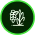 100% Organic